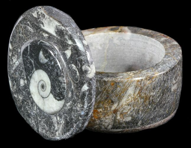 Small Fossil Goniatite Jar (Black) - Stoneware #48723